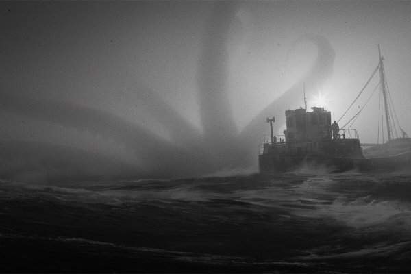 Kraken даркнет что это