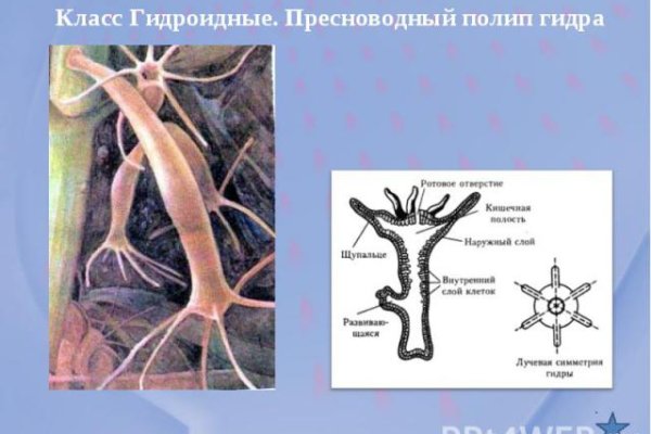 Кракен маркетплейс что продают