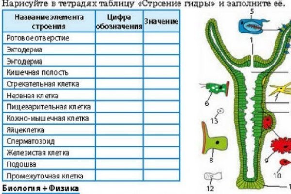 Кракен ссылка германия