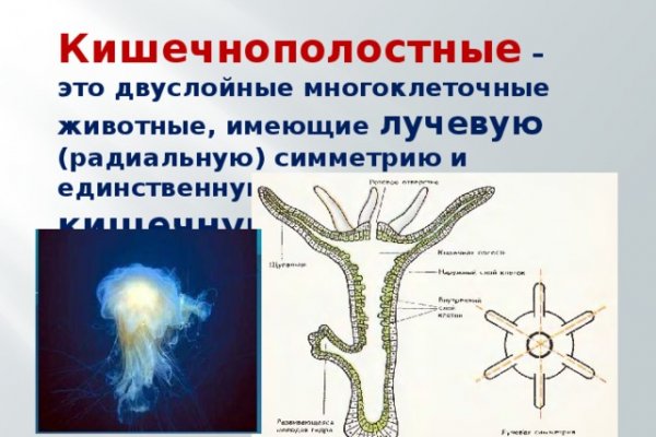 Кракен мониторинг ссылок kraken torion