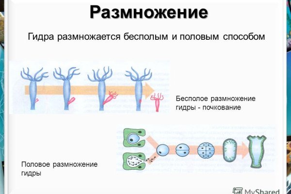 Кракен наркошоп