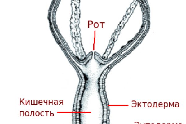 Кракен ссылка fo feng crmp ru