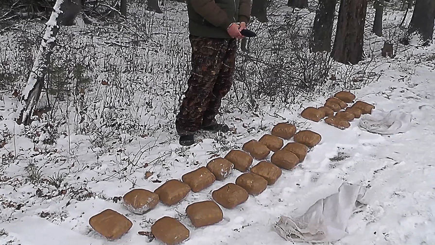 Гидра альтернатива